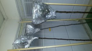 20170324_202147.jpg