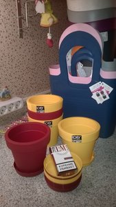 WP_20160622_002.jpg