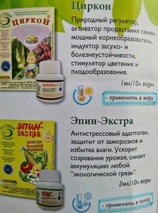 эпин1.jpg