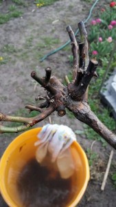 IMG-20170513-WA0001.jpg