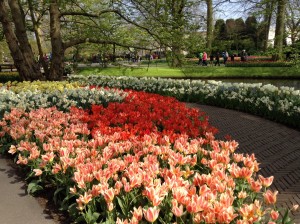 IMG_6817.JPG