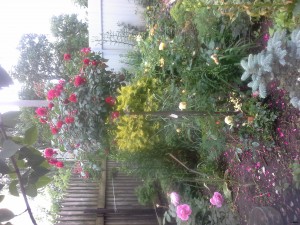 20170717_163825.jpg