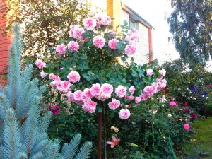 2017-07-23_20.18.24.jpg