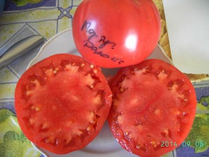 PICT7617.JPG