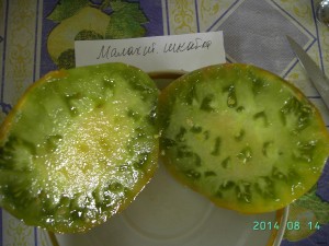 Малахитовая шкатулка.JPG