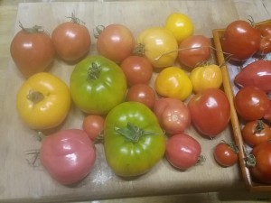 Вот, Кать, не дотерпела до понедельника!