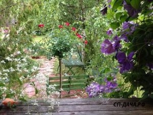 IMG_0781.JPG