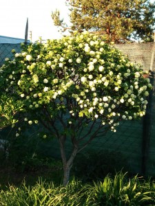 DSC04210.JPG