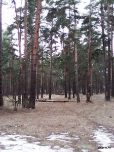 IMG0014A.jpg