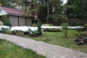 укр17.jpg