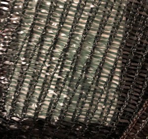 A8C23370-2898-4424-A3E6-07754961C112.jpeg