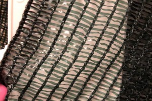 AC26CF10-A2E4-4D17-AA2C-71ECD565A62E.jpeg