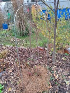 я не стала городить каркас, а купила готовый ;) в этой же закупке