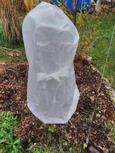 Вот какой домик у меня получился! Ленточка, наверное, для связывания побегов прилагается. Мне связывать особо нечего было, так что я решила, что бант это достойное украшение!)))