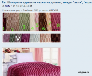 Безымянный.png