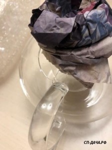 IMG_1085.JPG