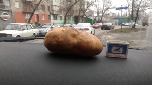 Лапоть