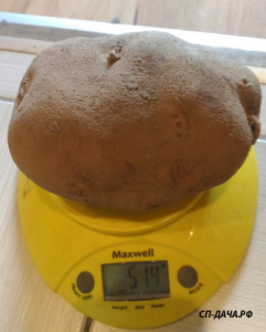 Скриншот 13-04-2019 125024.png