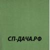 киви.jpg