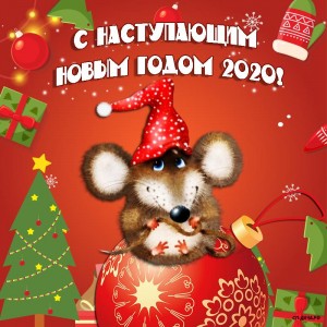 kartinki-s-nastupayushhim-2020-godom-5.jpg