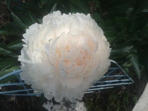 20160629_111347.jpg
