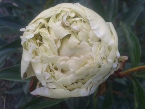 20160626_200740.jpg