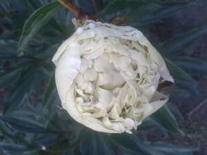 20160626_200750.jpg