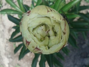 20150620_134244.jpg
