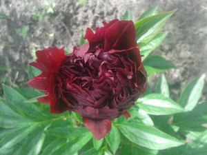 20160611_114800.jpg