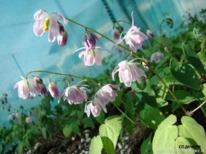 Sasaki_2019-09-12_14-54-34.jpg