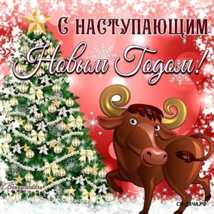 otkrytka1.jpg