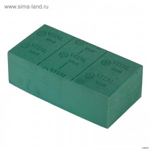 Губка.jpg