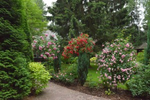 DSC_8592.JPG