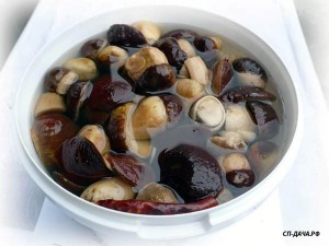 belsolprem.jpg (33.75 КБ) 27753 просмотра belsolprem.jpg