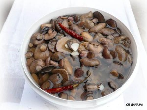 masliata premium.jpg (35.33 КБ) 27255 просмотров masliata premium.jpg