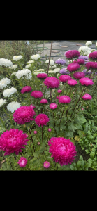 1AD5E666-155D-4682-AEBD-68C4D5692B4D.png