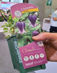 Точечный рисунок.jpg