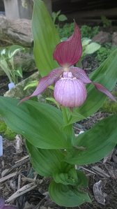 WP_20160529_15_19_55_Pro.jpg