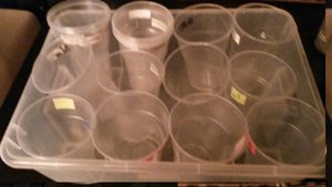 20170115_195428.jpg