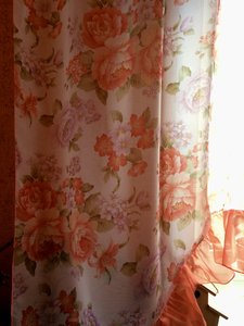 IMG_0350.JPG