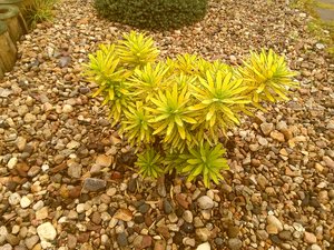 P_20161009_122053.jpg