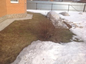 IMG_0580.JPG