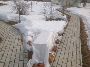 IMG_0582.JPG