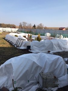 IMG-20170311-WA0004.jpg