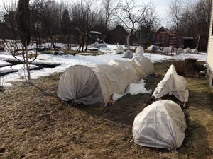 IMG_1840.JPG