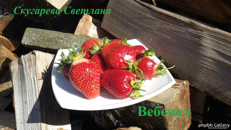 Вебенал3