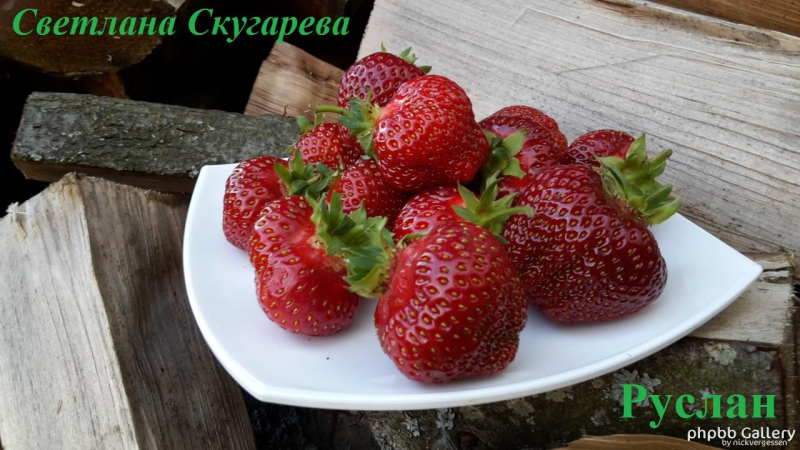 Руслан (2)