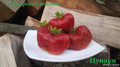 Цунаки