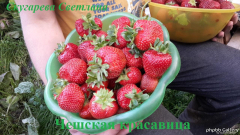 Чешская красавица 3